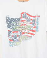 The Beach Boys USA Flea Market Tee