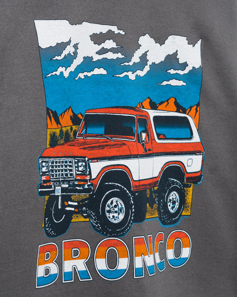 Bronco Powered By Ford Flea Market Fleece